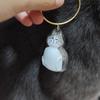 My Pet's Fur Container Cat Hair Storage Box Hanging Cat Keychain Pendant Pet Hair Grooming Souvenirs Bag Hanging Decor 1/6PCS