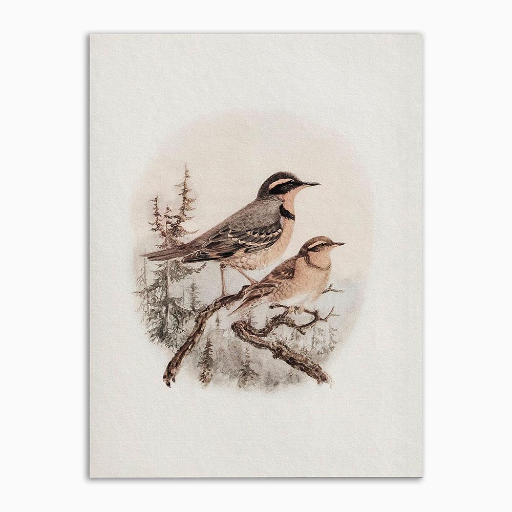 

Винтажный постер и принт, ботанический натюрморт, настенное искусство в стиле бохо, антикварная картина на холсте, текстильное художественное украшение для гостиной, дома 30x40cm No Frame