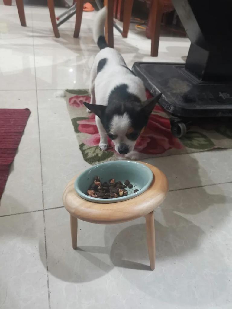 800ml Cat Dog Food Water Bowl - Elevated Wood Stand Feeder Ceramic Eating Drinking Pet Feeding Supplies for Small Medium Pets