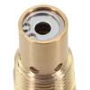 Air Compressor Valve Brass Check Valve Male Threaded Valve High Pressure