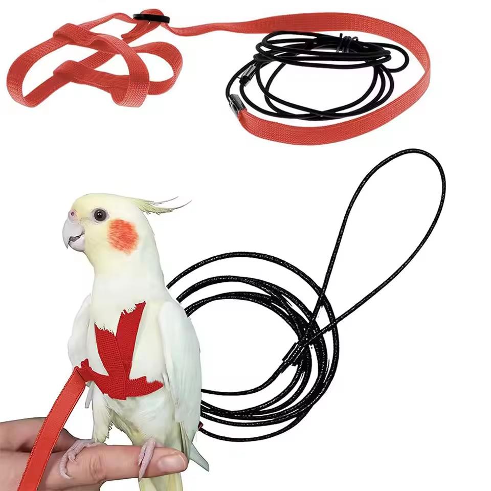 Parrot Flying Rope Traction Strap Outing Rope Training Traction Rope Grey Parrot King Kong Flight Rope Training Bird Supplies