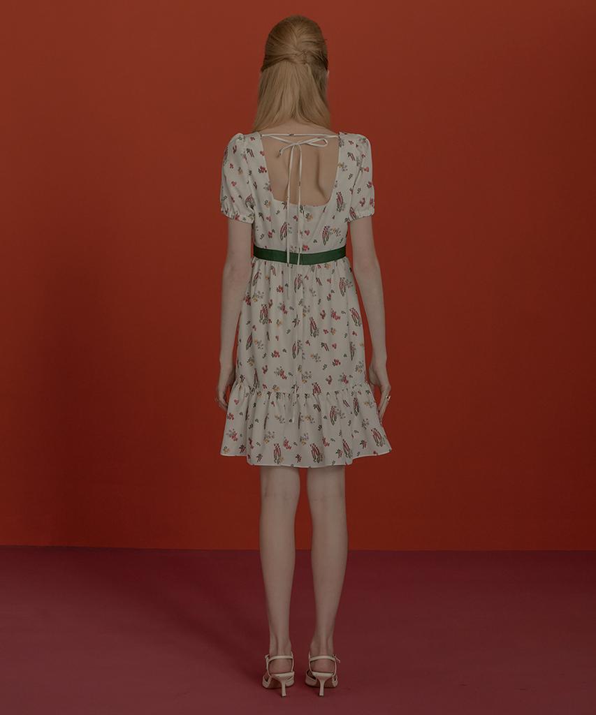 Aiseugadeuneiogongpal Veggie Print Dress