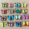 30Pcs Creative Colorful Butterflies Push Pins 3D Decorative Studs Blackboard Push Pins  Stationery