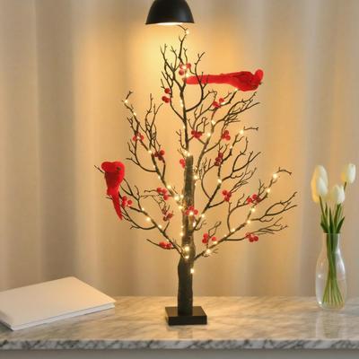 Iluminación – Luces de Navidad y otra iluminación