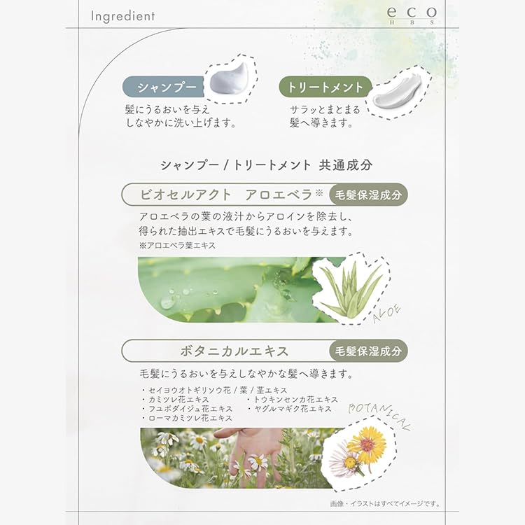 Eco HBS Shampoo 1700ml & Treatment 1700g Musk + Original Logo Sticker