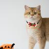 Joyful Pet Christmas Collar Featuring Cartoon Bow Tie And Festive Jingle Bells Pets For