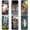 Common Carp For Huawei Nova 10 SE 9 5T 12s 12i 11i Y91 Y90 Y60 Y70 Y72 Y61 P20 P30 P40 Lite P60 Pro Case