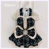 Autumn Winter Small Dog & Cat Woolen Dress - Thickened Warm Pet Bowknot Outfit for Yorkshire Terrier Puppy Small Pets