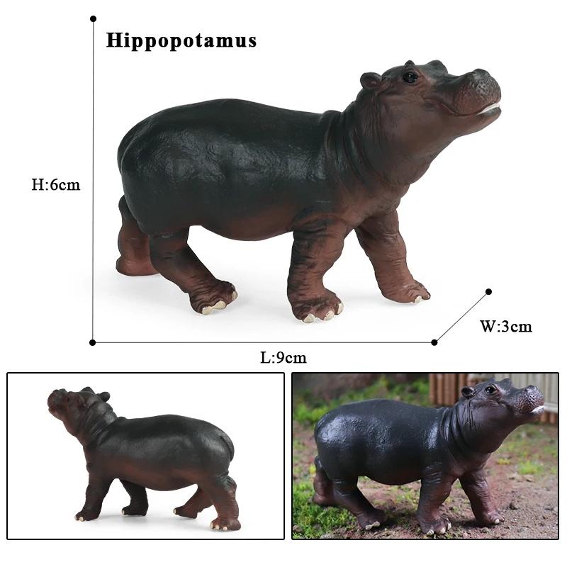 Oenux Modello Animale Selvatico di Simulazione Rinoceronte Rinoceronte Ippopotamo Ippopotamo PVC Ornamento per la Casa Animale Giocattolo Educativo per Bambini Regalo