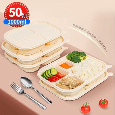 Eco-Friendly 5-Compartment Disposable Bento Box Set