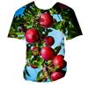 Apple Fruit 3D Print Kids Short Sleeve Tee Round Neck Daily Weekend Outdoor Gathering Casual Top
