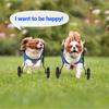 XS/S/M Adjustable Dog Wheelchairs for Back Legs Dog Wheelchair Cart for Hip Support Mobility Aids for Small Pets Hind Limbs