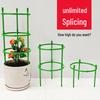 Spliceable Indoor Plant Stand with Support Ring and Rod for Climbing Branches