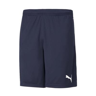 Team RiSe Training ShortS Puma Men S ShortS