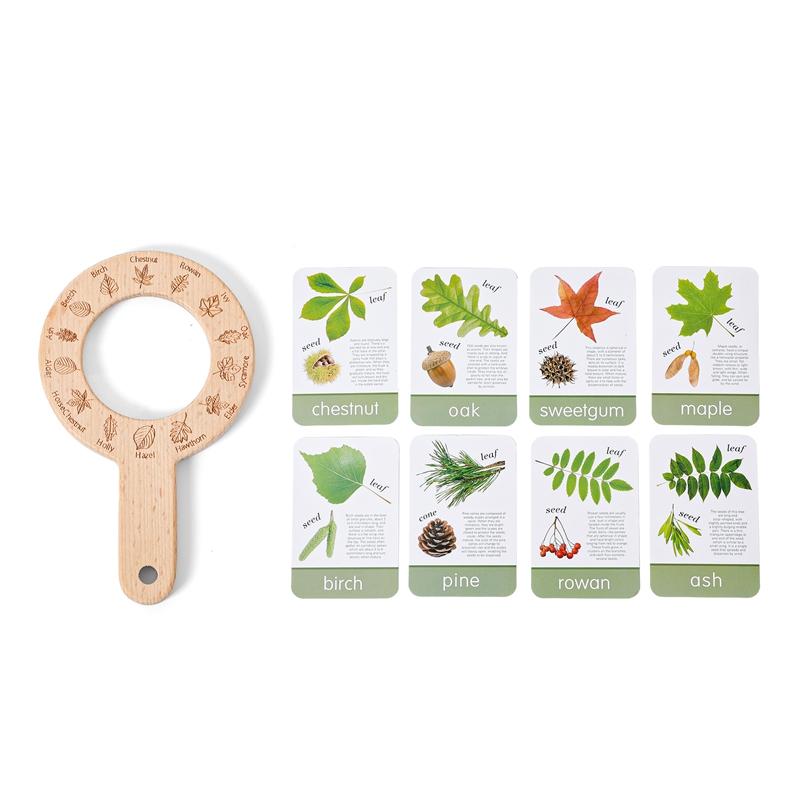 Children's Outdoor Explorer Tool Kids Montessori Educational Toys Insect Plant Observation Box Viewer Bound Catcher Gift Set