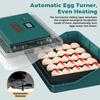 25 Egg Digital Incubator Fully Automatic Hatching Machine Automatic Water Supply
