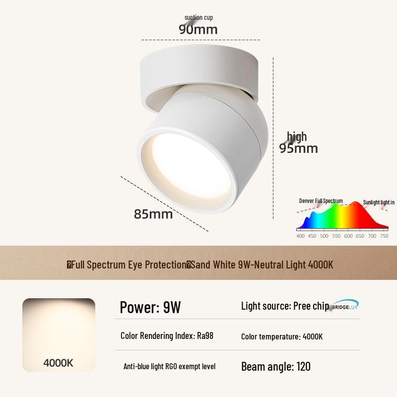 Adjustable Rotatable Surface-Mounted Downlight for Living Room, Aisle, Entrance, Bedroom - No Main Light Required