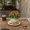 Home Homestay Ornaments: Mini Potted Green Plant for Office Conference Room Decor