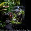 Terrario in Vetro da Tavolo M-Vaso per la Raccolta della Rugiada Micro Paesaggio Giardino di Succulente e Muschio Decorazione per la Casa Design Creativo di Bottiglia in Vetro
