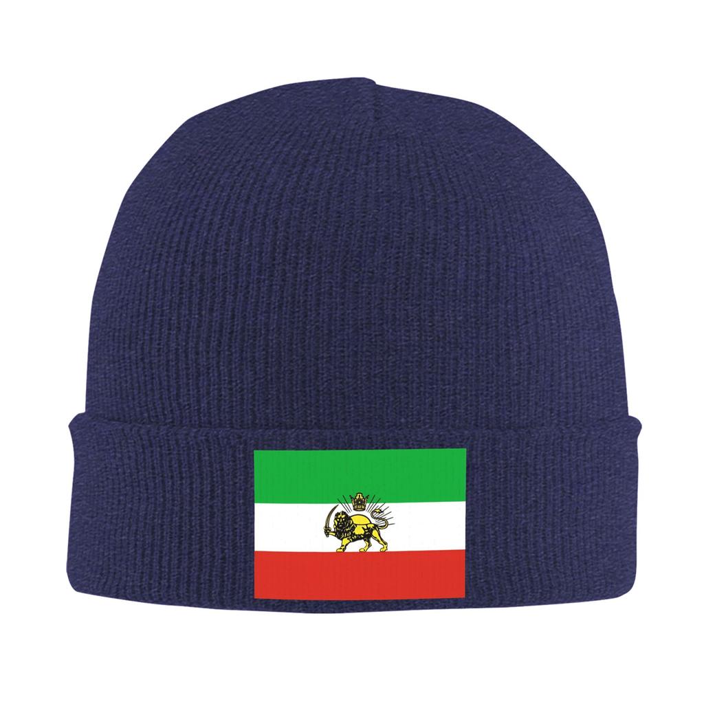 Female Male Flag Of Persia   Beanie Hats  Casual Knit Hat Autumn Winter Hippie Caps Custom Head Wrap Bonnet Hats