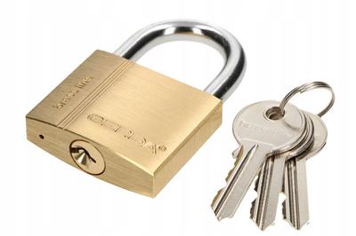 Gerda Z50 Brass Padlock.
