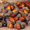 Wedding DIY Crafts Lifelike Foam Simulation Artificial Acorns Christmas Decoration Fake Pine Cones