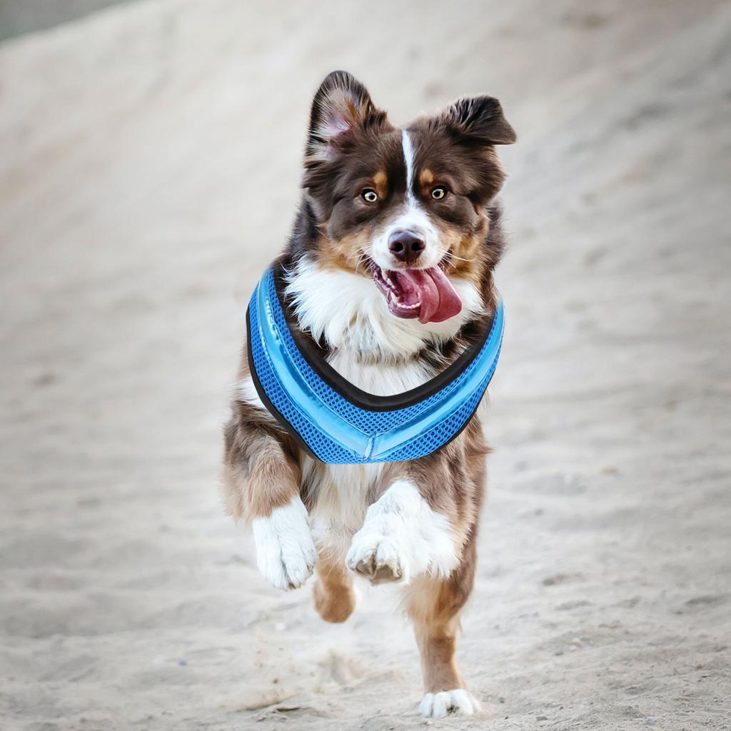 Polstret hundevest Glødende Lysende LED Blinkende Kjæledyrsele Grønn Nylon Praktisk