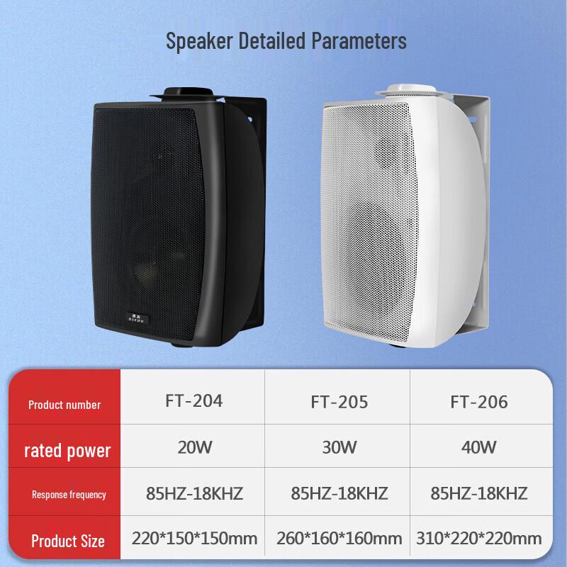 Diyou Wall-Mounted Conference & Broadcast Speaker System CN Plug (adapter Included) (CN Version)