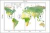Photomural World Map Self-Adhesive Mural 312x219