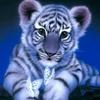 Cute Tiger Self Adhesive Wall Stickers For Living Room Decor