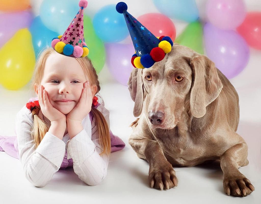 Pet Birthday Hat Scarf Set Adjustable, Cat/Dog Birthday Supplies Mini Pet Saliva Towel Cat/Dog Supplies