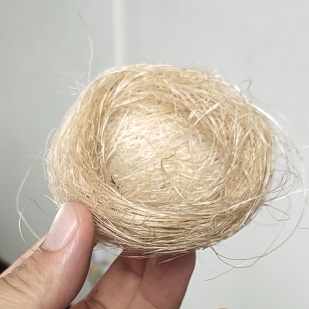 Chick Family Nest: Hen & Egg Figurine for DIY Micro Landscape Gardening