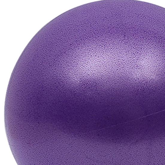 9,8 Zoll Hüteball für Hunde Haustier Aufblasbarer Ball Spielzeug Interaktives Spiel Bewegungsball Fördert die Körperliche Gesundheit für Kleine Mittlere Haustiere