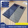 Foldable Nap Pad: Moisture-Proof Mat for Indoor/Outdoor Use