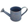 Vintage Metal Flower Watering Can with Handle Metal Rustic Watering Can for Indoor Plants Succulents Balcony and Outdoor
