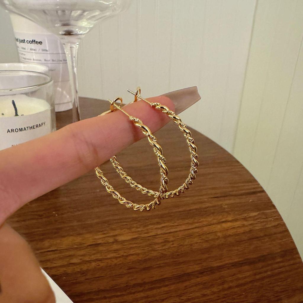 Elegant European & American Geometric Twisted Metal Hoop Earrings