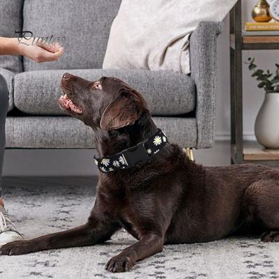 Dogs Collar Boys Girls Puppy Collar Adjustable Cute Flower Pet Collars with Safety Buckle for Male Female Small Medium Large Dogs