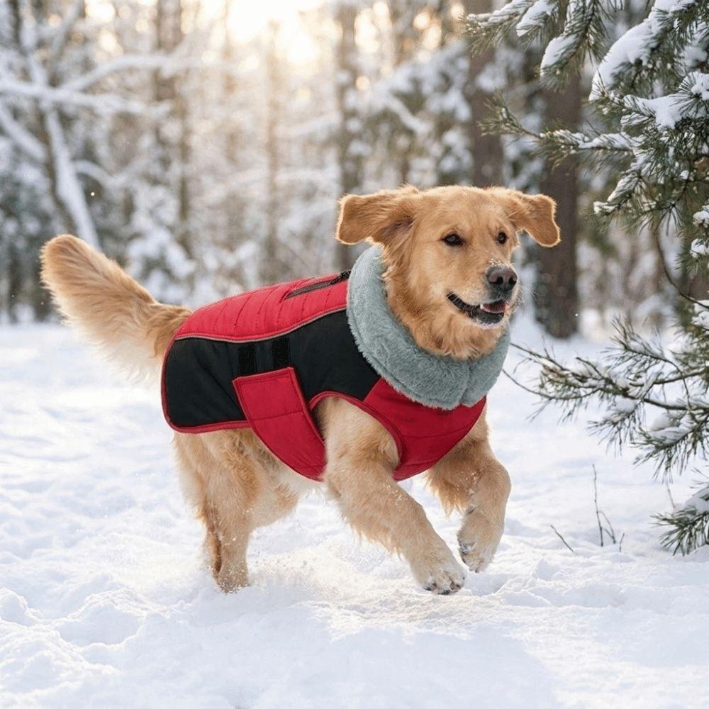 Thickened Dog Vest Jacket Windproof Dog Ski Suit Practical Dog Cotton Coat  Cold Weather