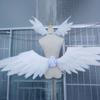 Automatisches Schmetterlingsflügel-Gerät Cosplay Requisite Flügel Auto Öffnen Schließen Motorsteuerung Geburtstagsparty