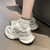 Fashion Silver Gray Mesh Breathable Dad Shoes for Women's 2024 Spring New Lightweight Thick Soled Sports Shoes Sneakers Women