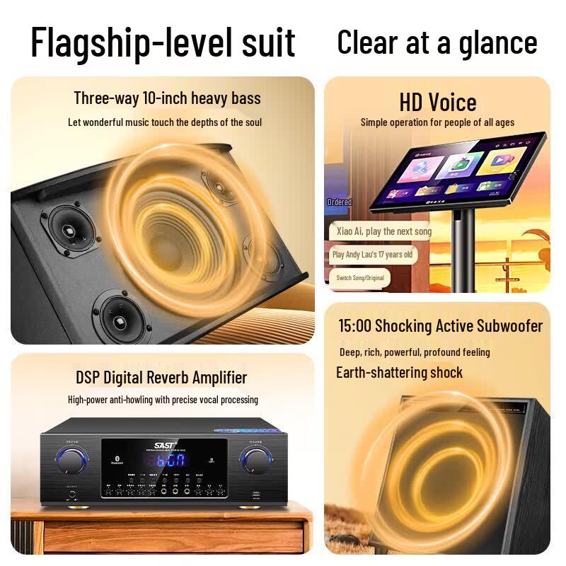 SAST Home Theater KTV Audio System (CN Version)