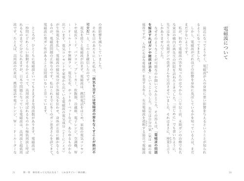 Maruyama's ultimate health method that will cure any ailment: The teachings of "Kusuri-e" that will harmonize your life energy