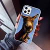 Funny Donkey Phone Case For iPhone 17 Air 11 13 Mini 14 15 Plus 16 12 Pro Max 16E SE 7 8 Pattern Soft TPU Back Cover  13 12 Mini