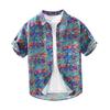 High-End Printed Short-Sleeve Linen Shirt for Men, Summer Trendy Casual Cotton-Linen Top for Young Artistic Individuals