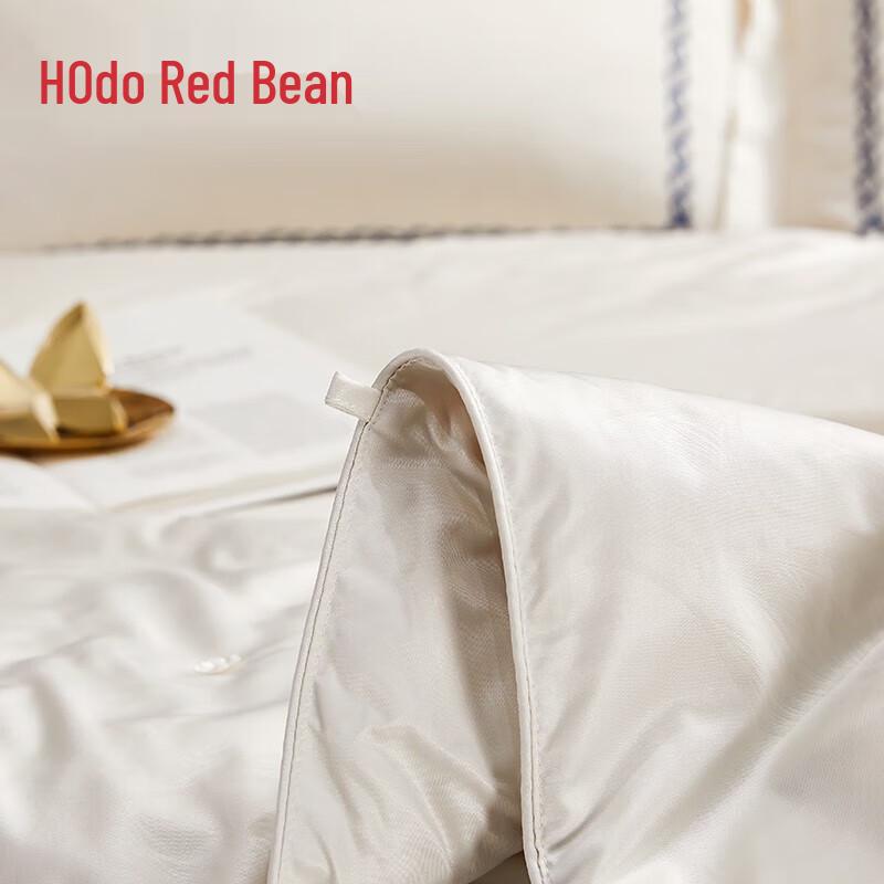 HONGDOU 100% Mulberry Silk All-Season Comforter