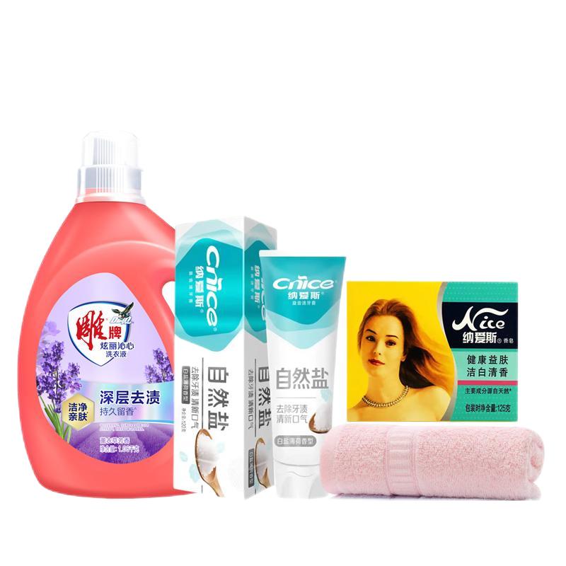 Nice Family Cleaning Essentials Kit