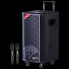 HiVi MF12 12-Inch Portable PA System with Dual Microphones (CN Version)