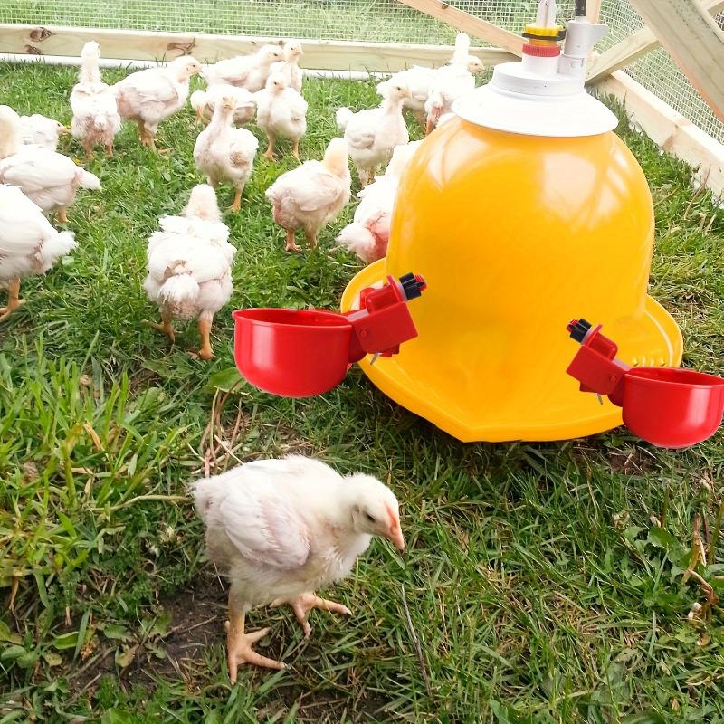 Automatic Poultry Drinker Chicken Drinking System Duck Water Dispenser Goose Turkey Rabbit Self Filling Feeding Drinking Bowl