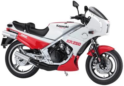 Hasegawa Kawasaki KR250 Modèle en plastique couleur 21745 1/12 (KR250A) Blanc rouge