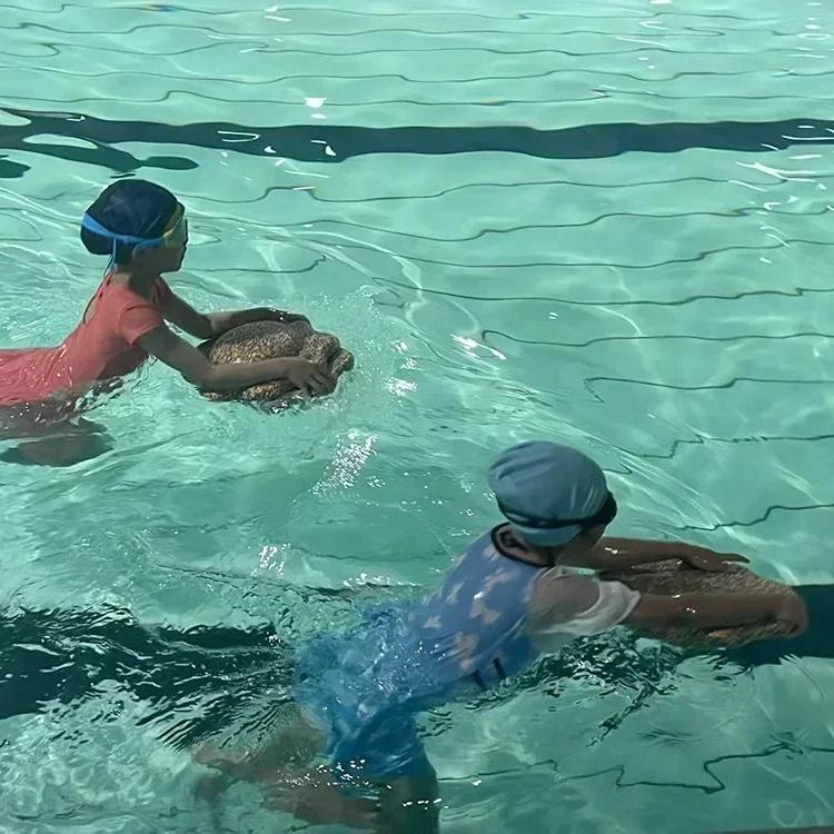 Antrenament de echilibru pentru copii Placă de echilibru Grădiniță Centru de educație timpurie Antrenament Echilibru Pietre de călcat peste râu